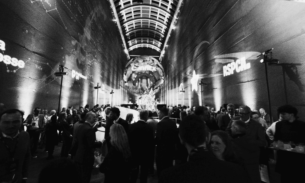 ConnEx 2026 event at the Natural History Museum